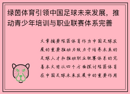 绿茵体育引领中国足球未来发展，推动青少年培训与职业联赛体系完善